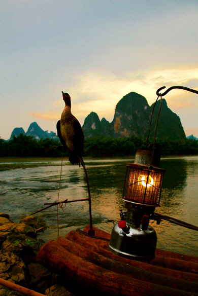 Guangxi - Li River Cormorant Fisherman (2).jpg (150121 bytes)