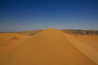 Inner Mongolia Desert (3).jpg (259120 bytes)