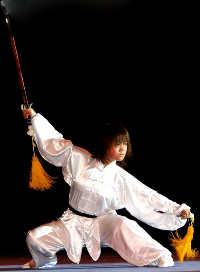 Kung Fu Girl (2).jpg (235254 bytes)