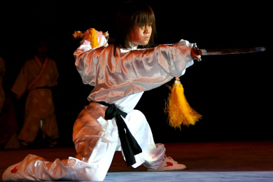 Kung Fu Girl (3).jpg (116657 bytes)
