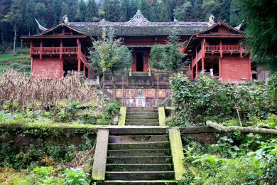 Sichuan - Bi Feng Temple.jpg (369394 bytes)