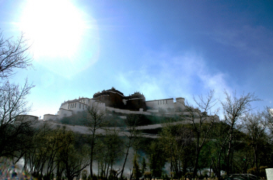 Tibet - Potala Palace, Lhasa.jpg (479292 bytes)
