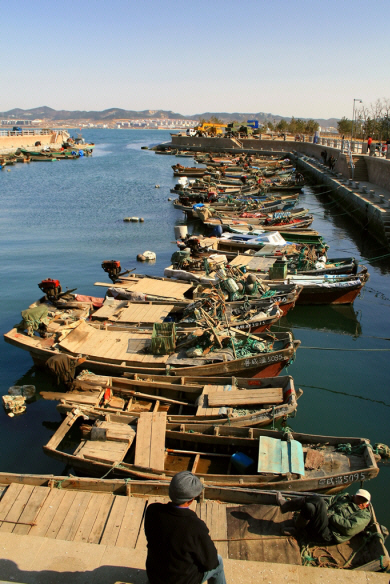 Weihai, Fishing Boats, Shandong Province (4).jpg (638942 bytes)