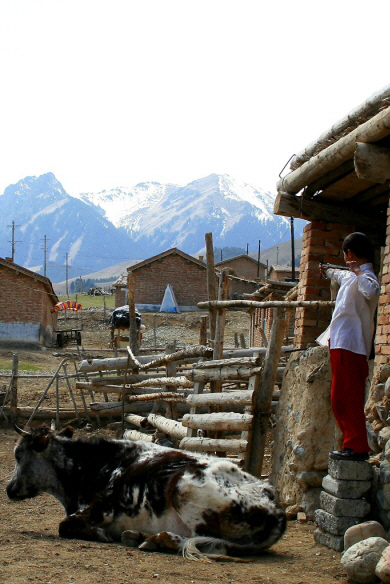 Xinjiang - Kazakh Village Slingshot.jpg (223749 bytes)