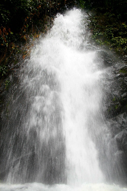 falls.JPG (245398 bytes)