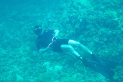 Dive Blue.jpg (202761 bytes)