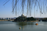 IMG_9863_lb.jpg (609069 bytes)